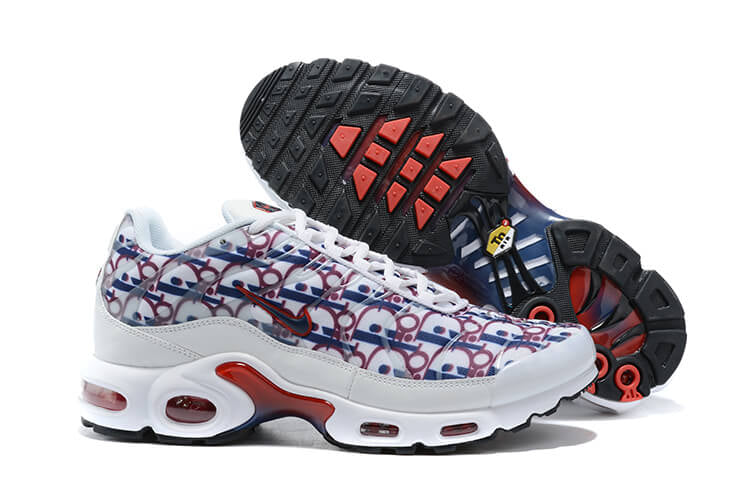 NIKE TN AIR MAX PLUS DIOR BLUE